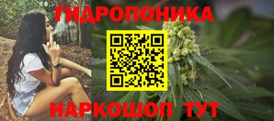 дмт Тула