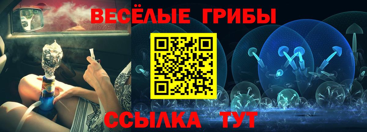 Псилоцибиновые грибы Cubensis Новочеркасск